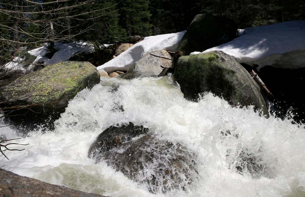 best of Stump nature stream public