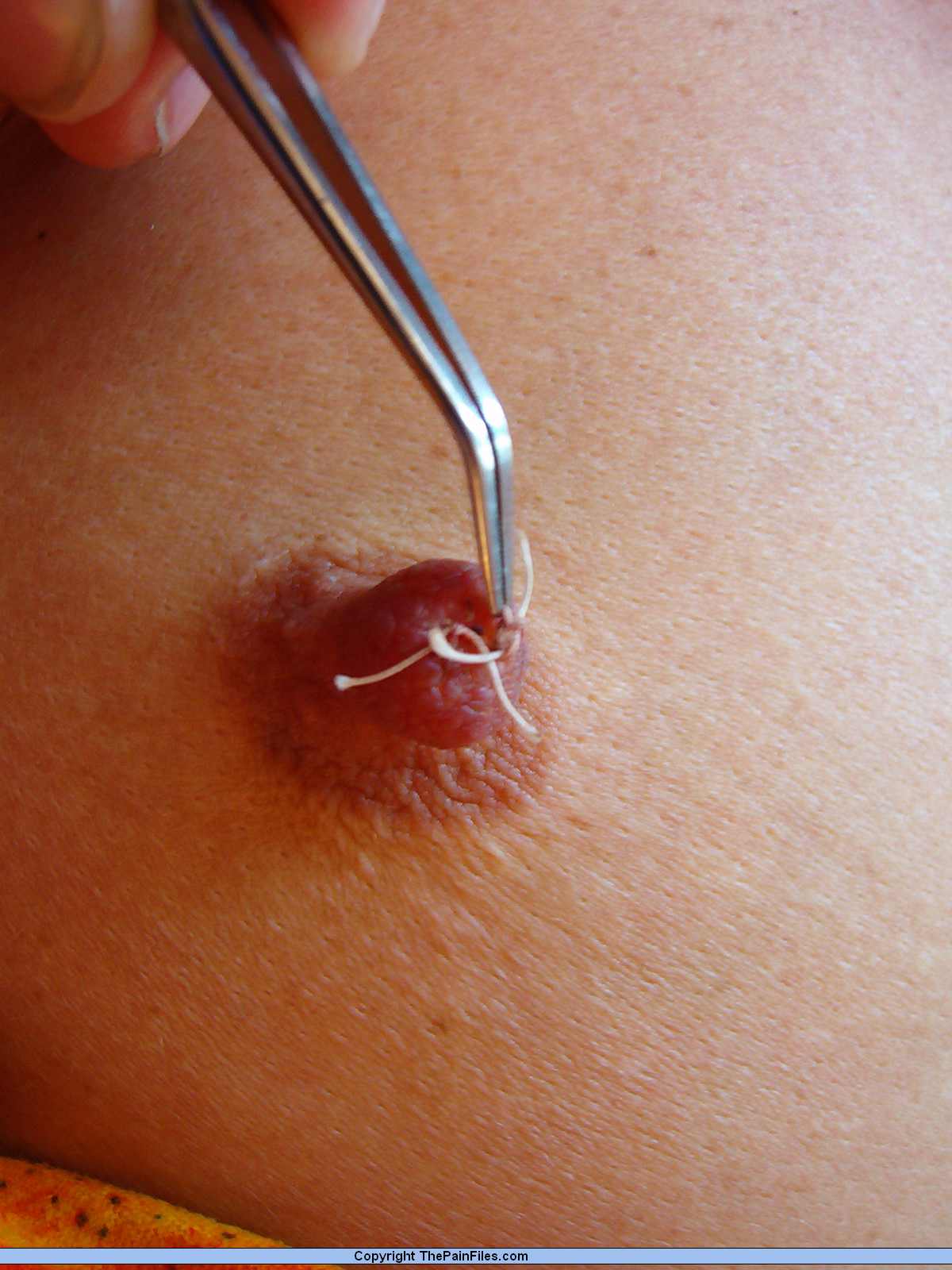 Stem reccomend piercing pussy shut needles painful bdsm