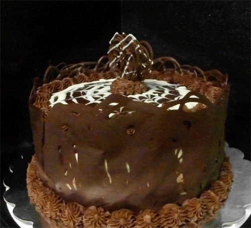 best of Chocolate wife cake gave