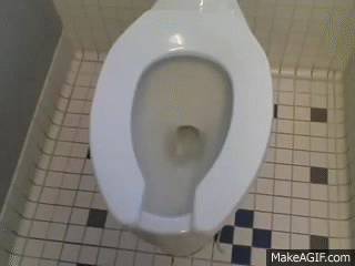 Flushing toilet bowl