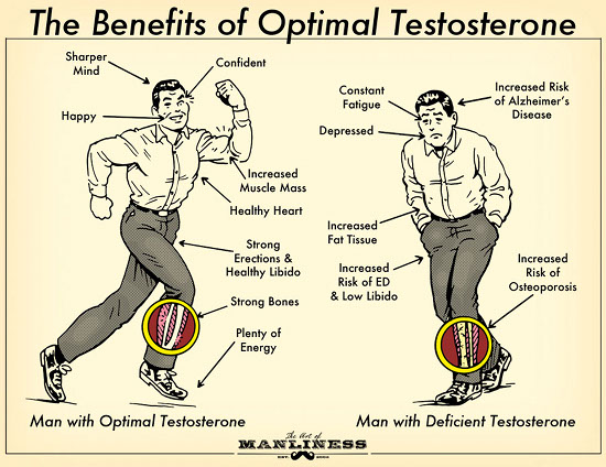Dorito reccomend testosterone hormones make horned