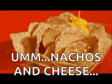 Buzz A. reccomend food special sauce nachos
