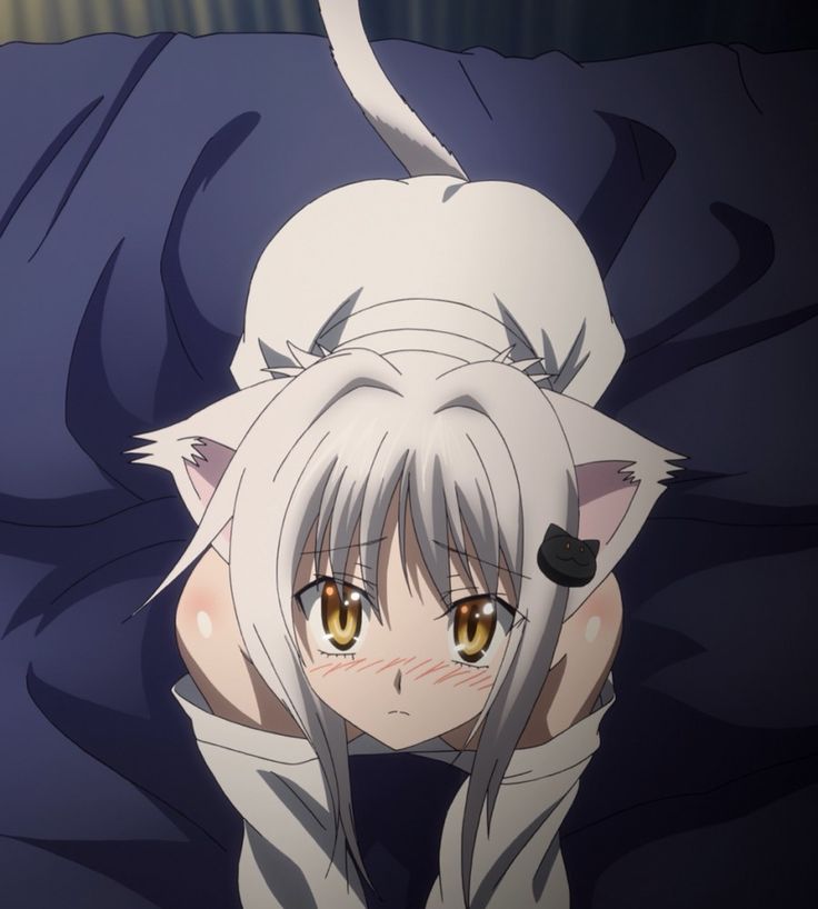 best of Koneko catgirl school high loving