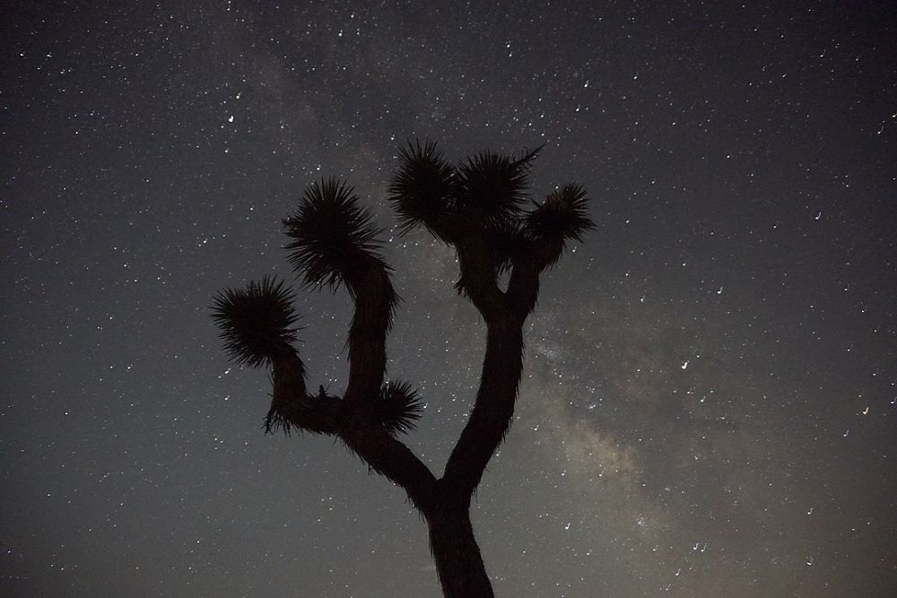 best of Hold hole campground aves night